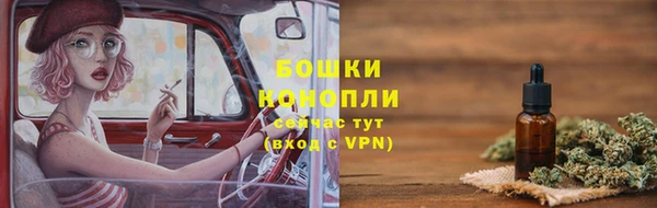 дурь Каменка