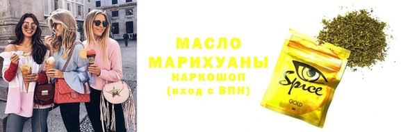 крисы Инта