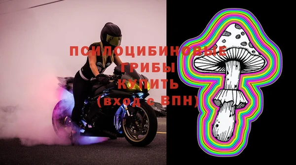 индика Иннополис