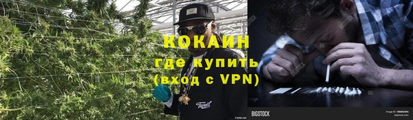 каннабис Каменногорск